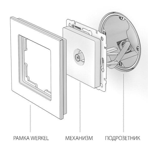 ТВ-розетка встраиваемая оконечная Werkel Графит рифленый W1183004 — изображение 3