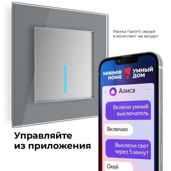 Выключатель одноклавишный встраиваемый сенсорный Werkel с Wifi Cеребряный W4510606 — изображение 2