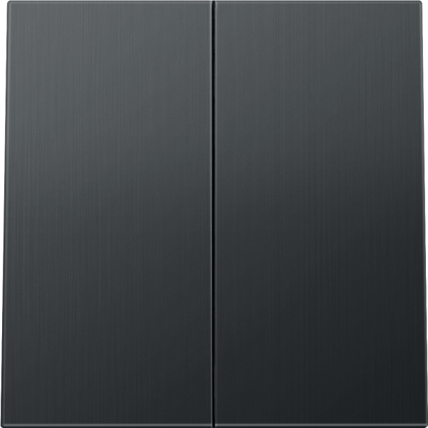 Выключатель двухклавишный встраиваемый Donel R98 Metal Вороненая сталь DA10500-DA295GS — изображение 2