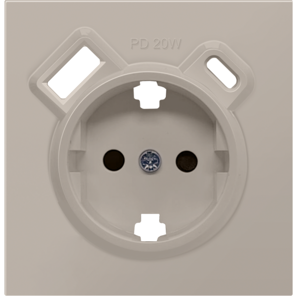 Розетка встраиваемая Donel R98 с заземлением и шторками + зарядка USB A+C 20W Кашемир матовый DA15500-DA22235 — изображение 2