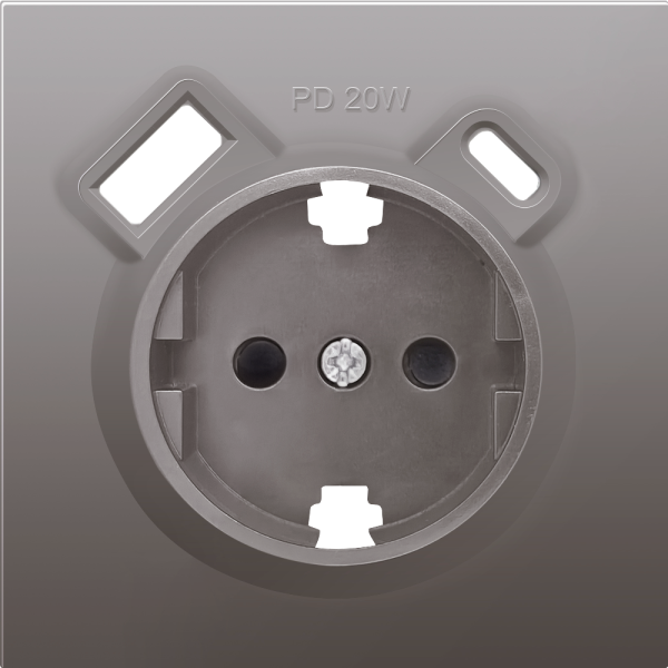 Розетка встраиваемая Donel R98 с заземлением и шторками + зарядка USB A+C 20W Сталь матовая DA15500-DA22237 — изображение 2
