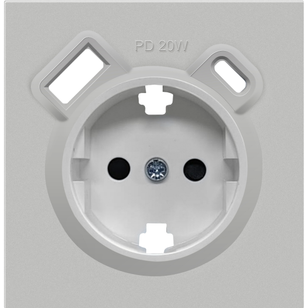 Розетка встраиваемая Donel R98 с заземлением и шторками + зарядка USB A+C 20W Серый матовый DA15500-DA22240 — изображение 2